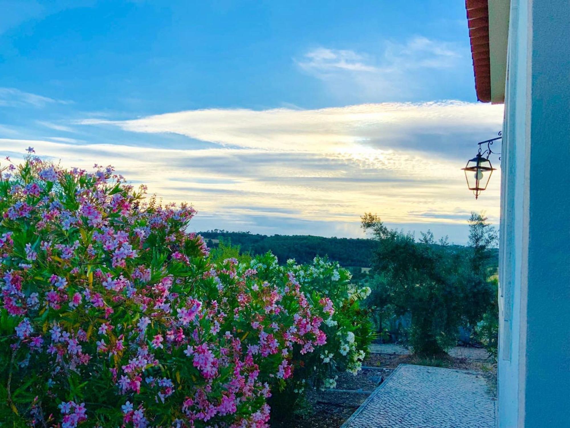 Charming Villa In Casais De Sao Bras エクステリア 写真